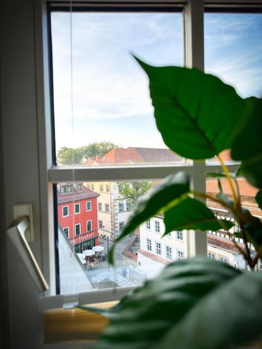 Apartment Erfurter Altstadtbrise Ii